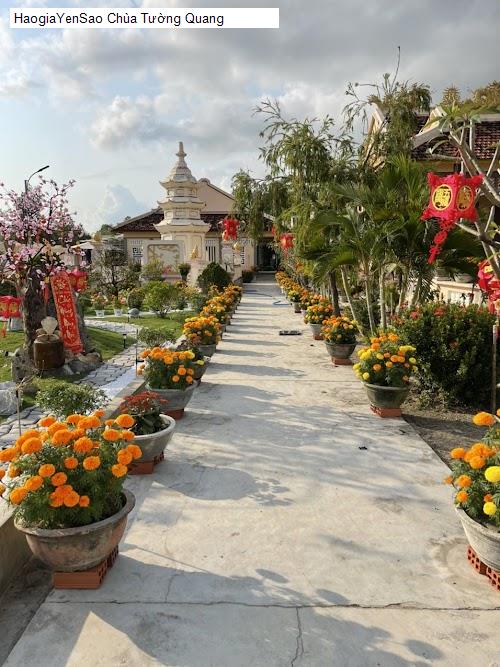 Danh Sách 9 Chùa, địa chỉ tâm linh tại Huyện Phù Cát Tỉnh Bình Định
